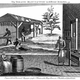 Image for article titled 15 Facts You Ought to Know About Race